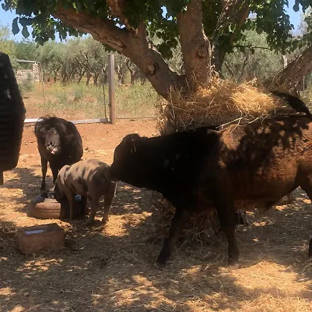 Masseria Alcorico Séjour à la ferme Gagliano del Capo