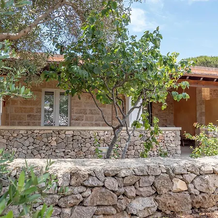 Masseria Alcorico Alloggio per agriturismo Gagliano del Capo